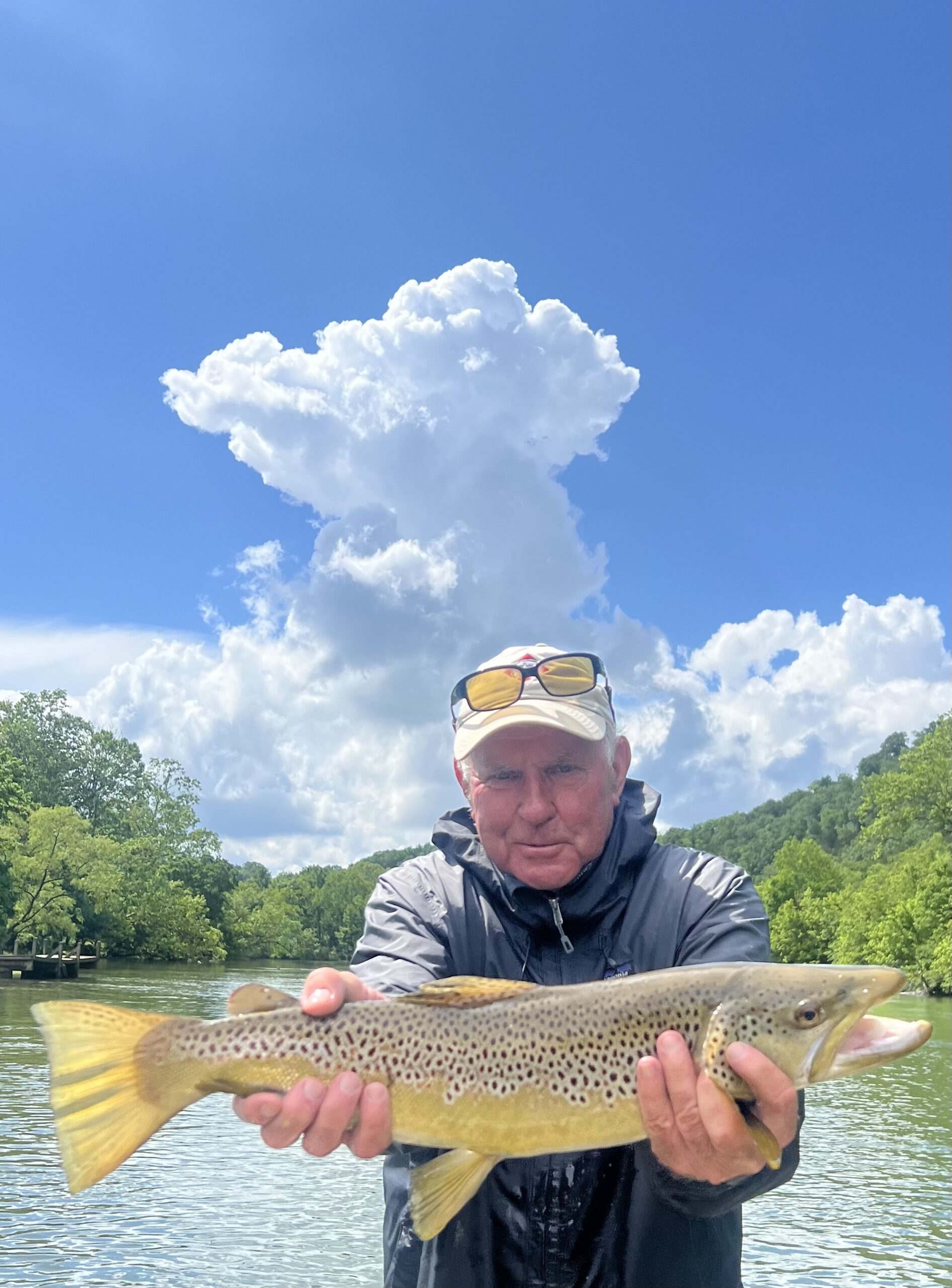 Cooper 24” Cooper 24”